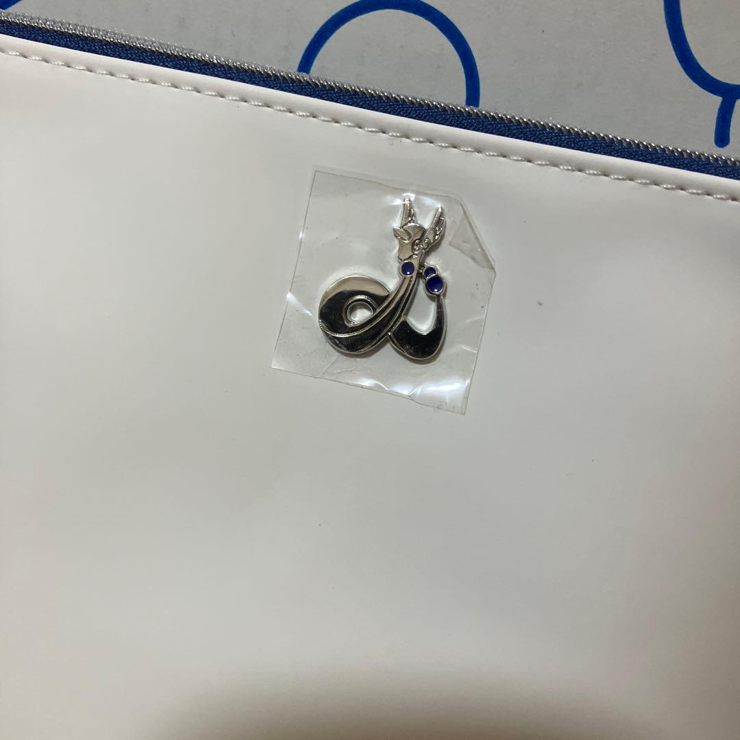 ポケモンセンター TERACOOL ハクリュー ポーチ ピカピカボックス