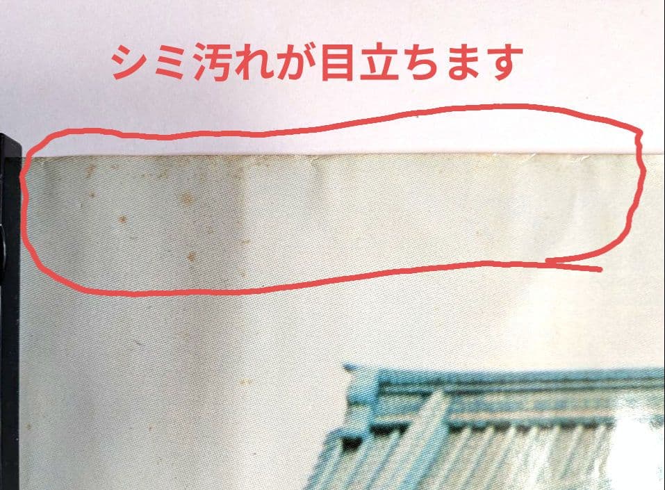 ベイ シティ ローラーズ 1976年 パット•マッグリン初来日 プロモ