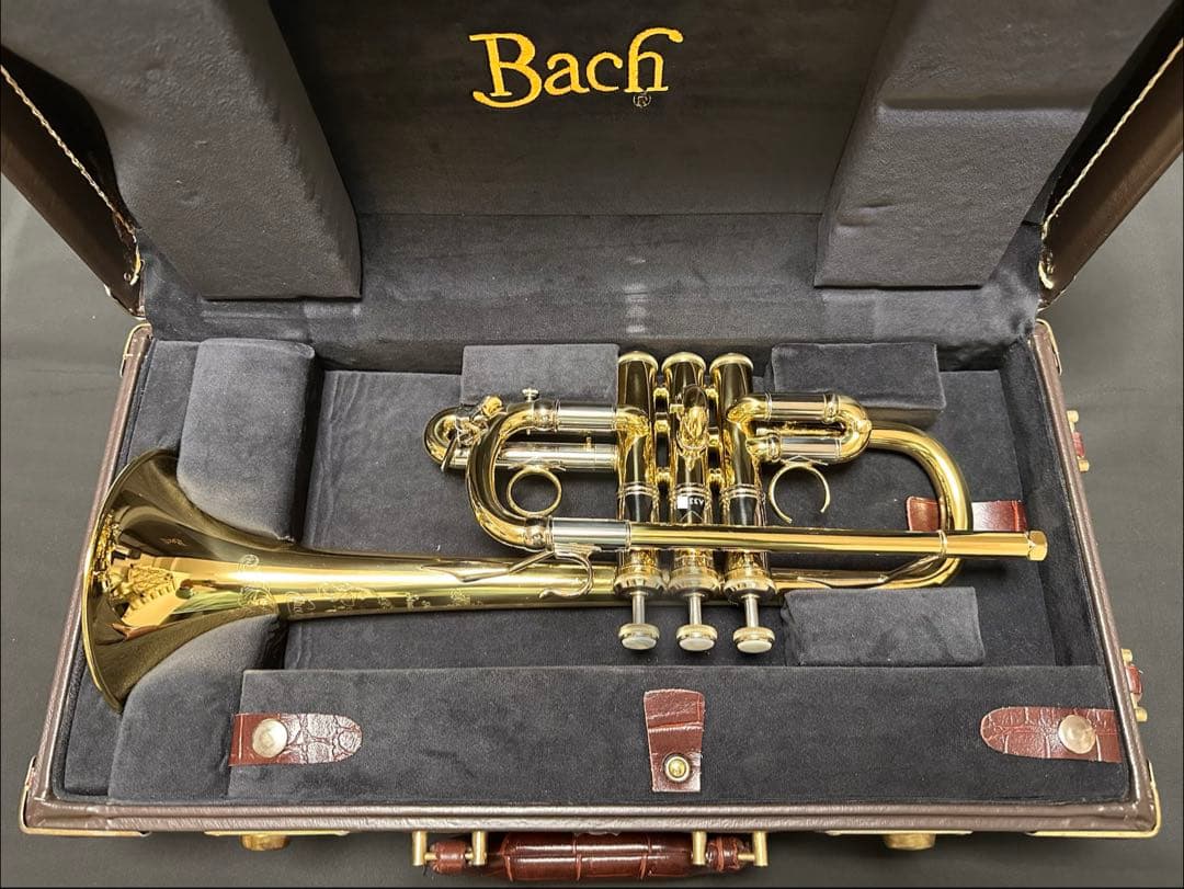 V.BachアルティザンE♭管 AE190GL選定品 [中古] - メルカリ