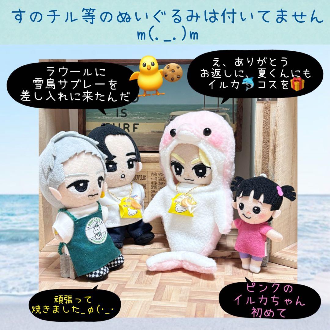 すのチル 服 小物 海のイルカちゃんコスと雪鳥サブレーSET オーダー