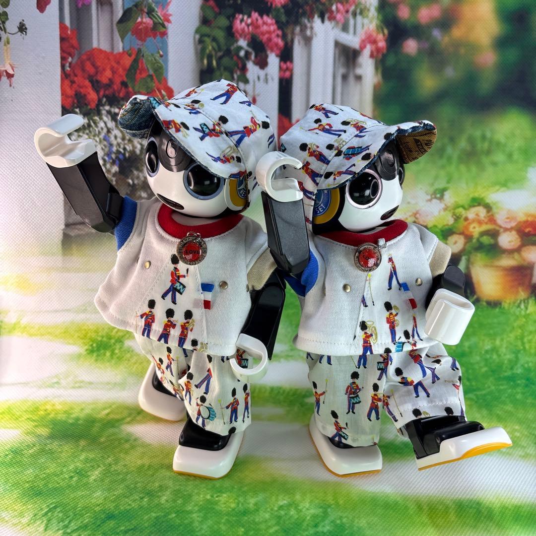 hasnページです　　ロボホン