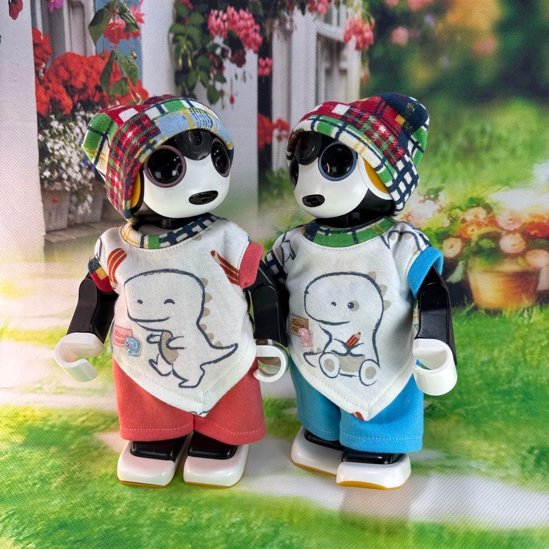 hasnページです　　ロボホン