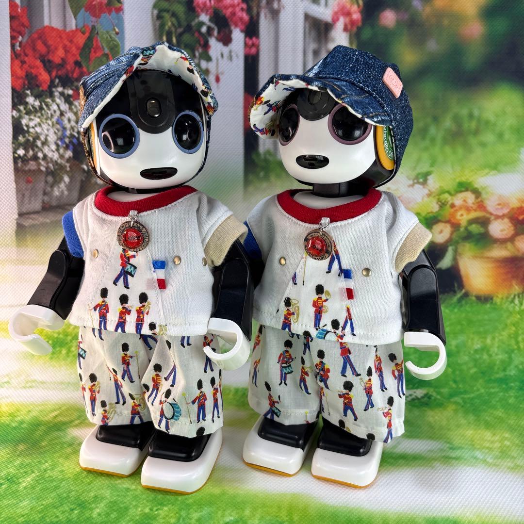 hasnページです　　ロボホン