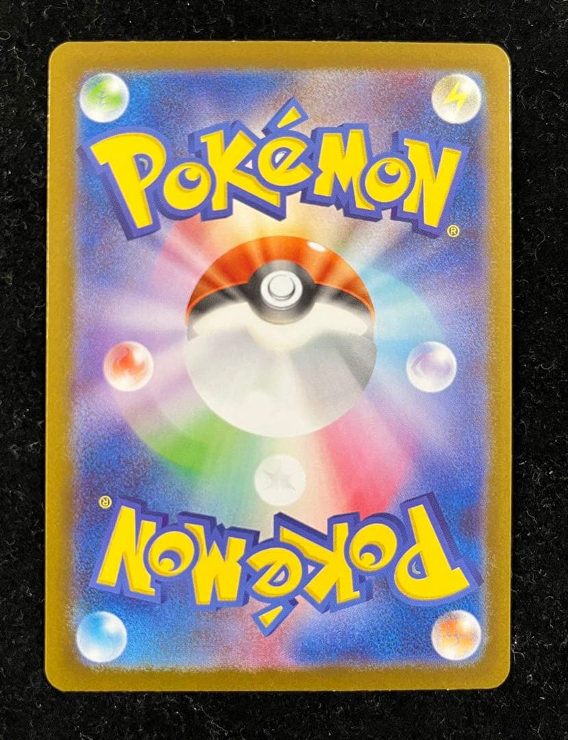 トウホクのピカチュウ ②