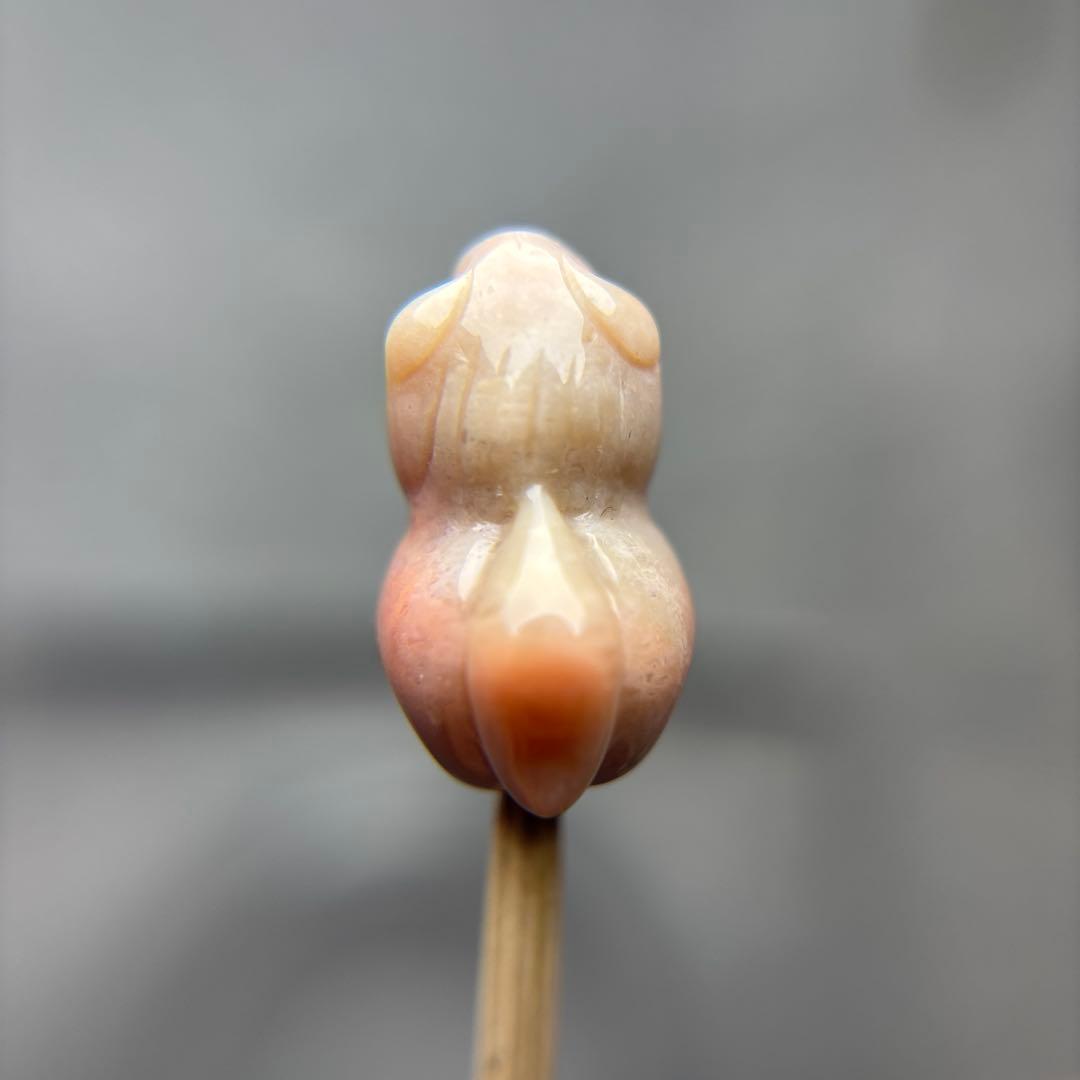 あずきちゃんフォッシルコーラル　馬パーツ　1-139