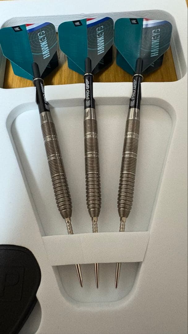 ダーツ レア】ケビン・ドーツ スイスポイント ターゲット - メルカリ