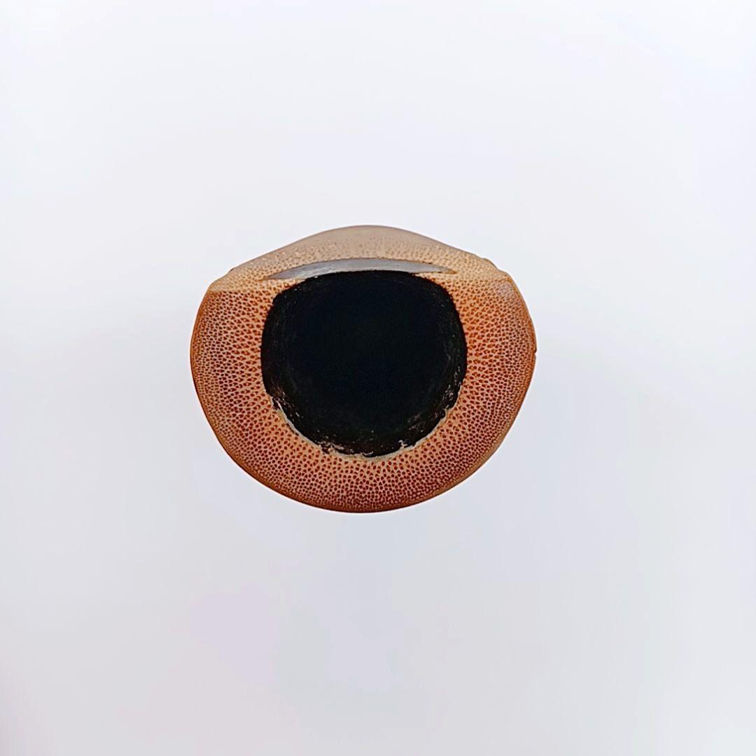 希少　尺八　琴古流　高級　55センチ　和楽器　伝統　文化　シャクハチ