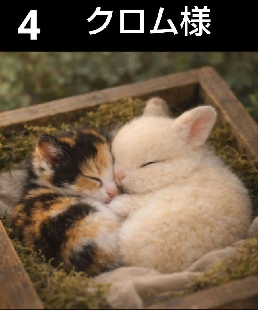 オーダーページ 327 ハンカチ うさぎねこちゃん柄ハンドメイド 2/12