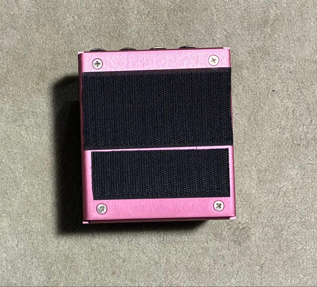 Strymon DIG デジタルディレイ