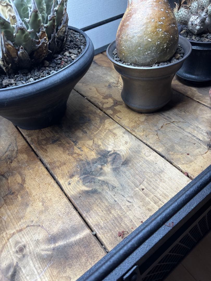 ボタニカルシェルフ　植物用金属ラック ダクトレール2段式