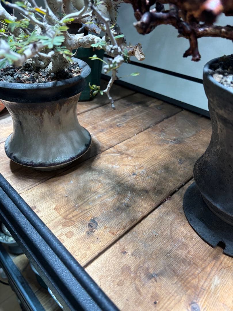 ボタニカルシェルフ　植物用金属ラック ダクトレール2段式