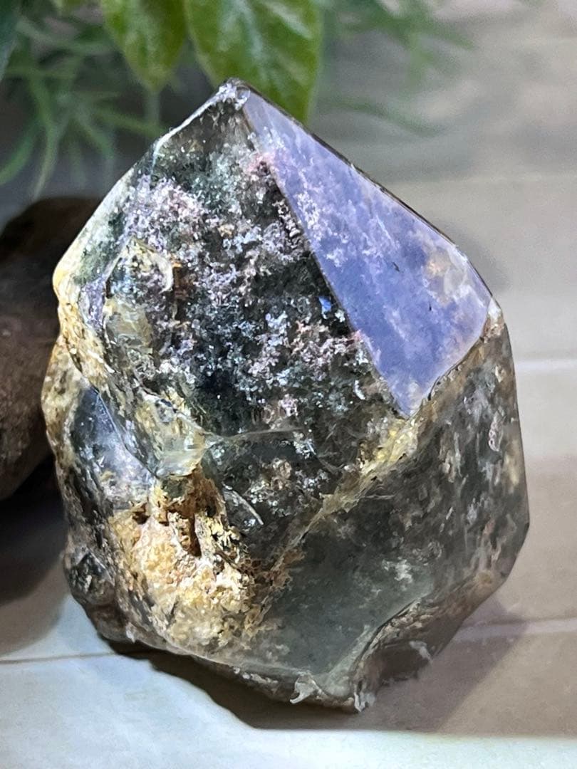 原生林のガーデンクォーツ✴︎　ポリッシュ　ポイント　苔入り水晶　クリスタル　原石