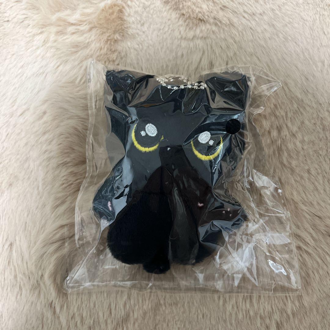 ENHYPEN ジェイ JAY ドール ぬいぐるみ マスター 黒い ねこ④ - メルカリ