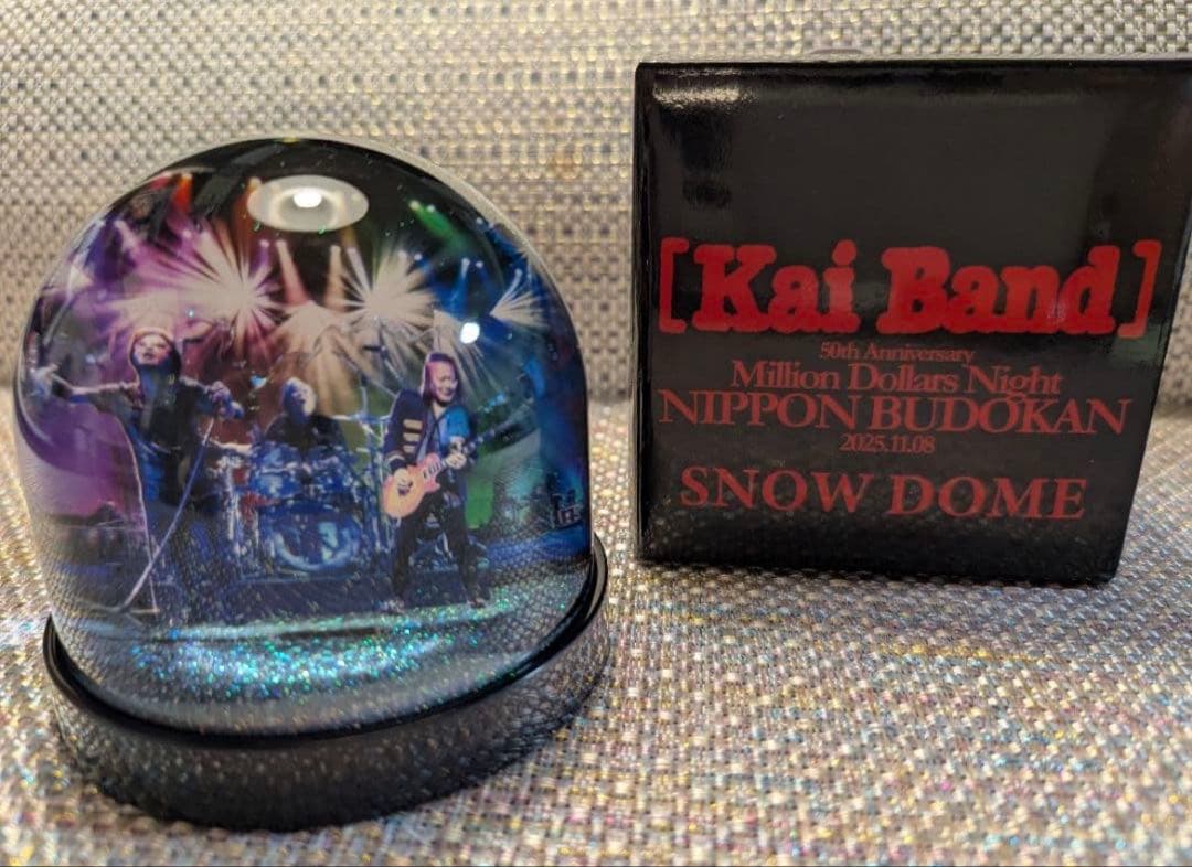 限定・非売品】甲斐バンド 武道館ライブVIP特典 スノードーム - メルカリ