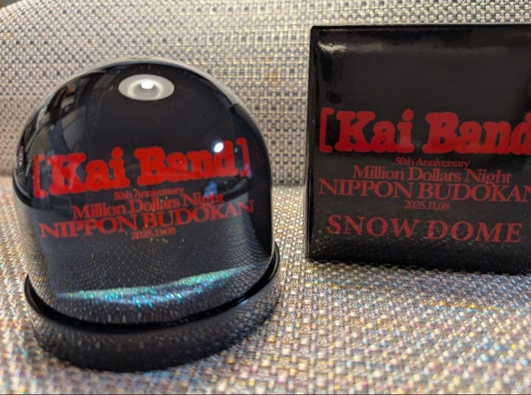 限定・非売品】甲斐バンド 武道館ライブVIP特典 スノードーム - メルカリ