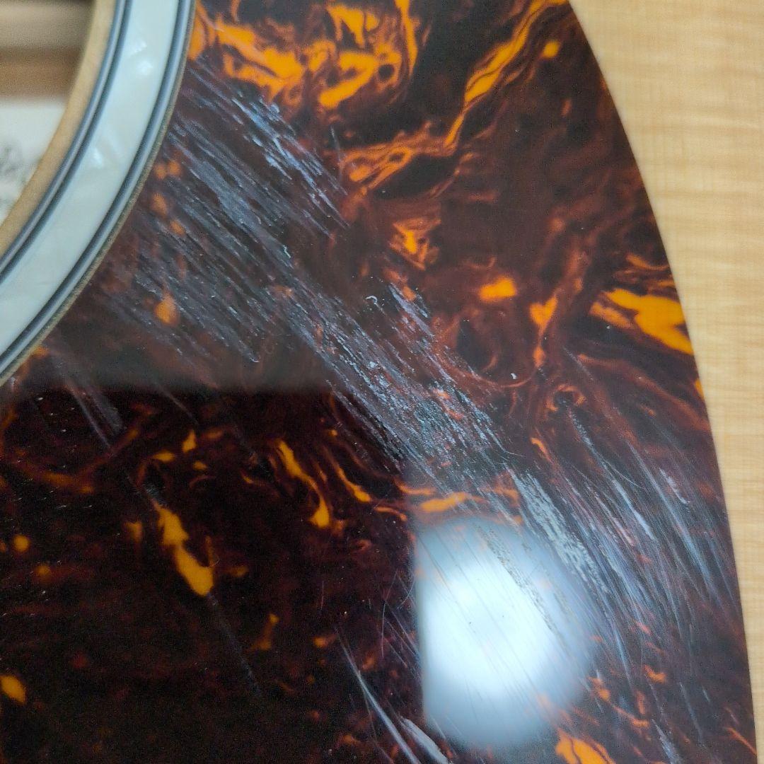 Martin & Co. Road Series アコギ