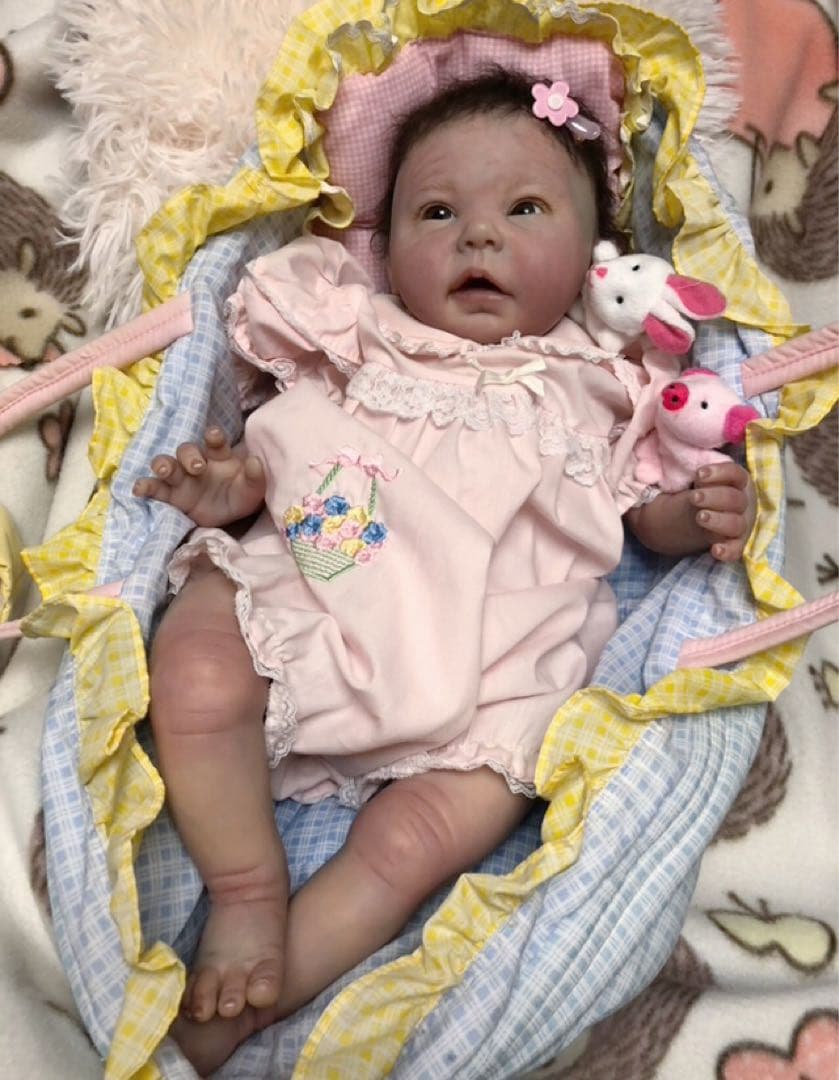 Sansa - Ping-Lau リボーンドール　付属品多数♪