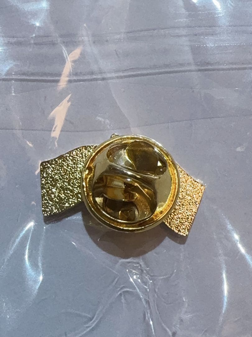 非売品・限定】サンマリノ ピンバッジ｜大阪関西万博2025 関係者入手