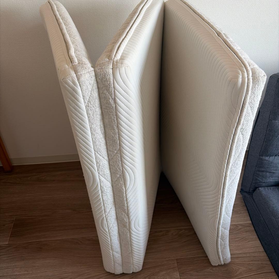 コアラフトンoasis