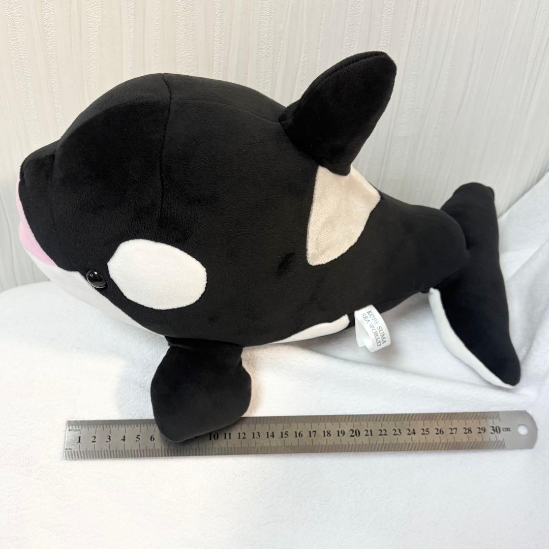 神戸須磨シーワールド オルカくじ イルカくじ 3等 - メルカリ