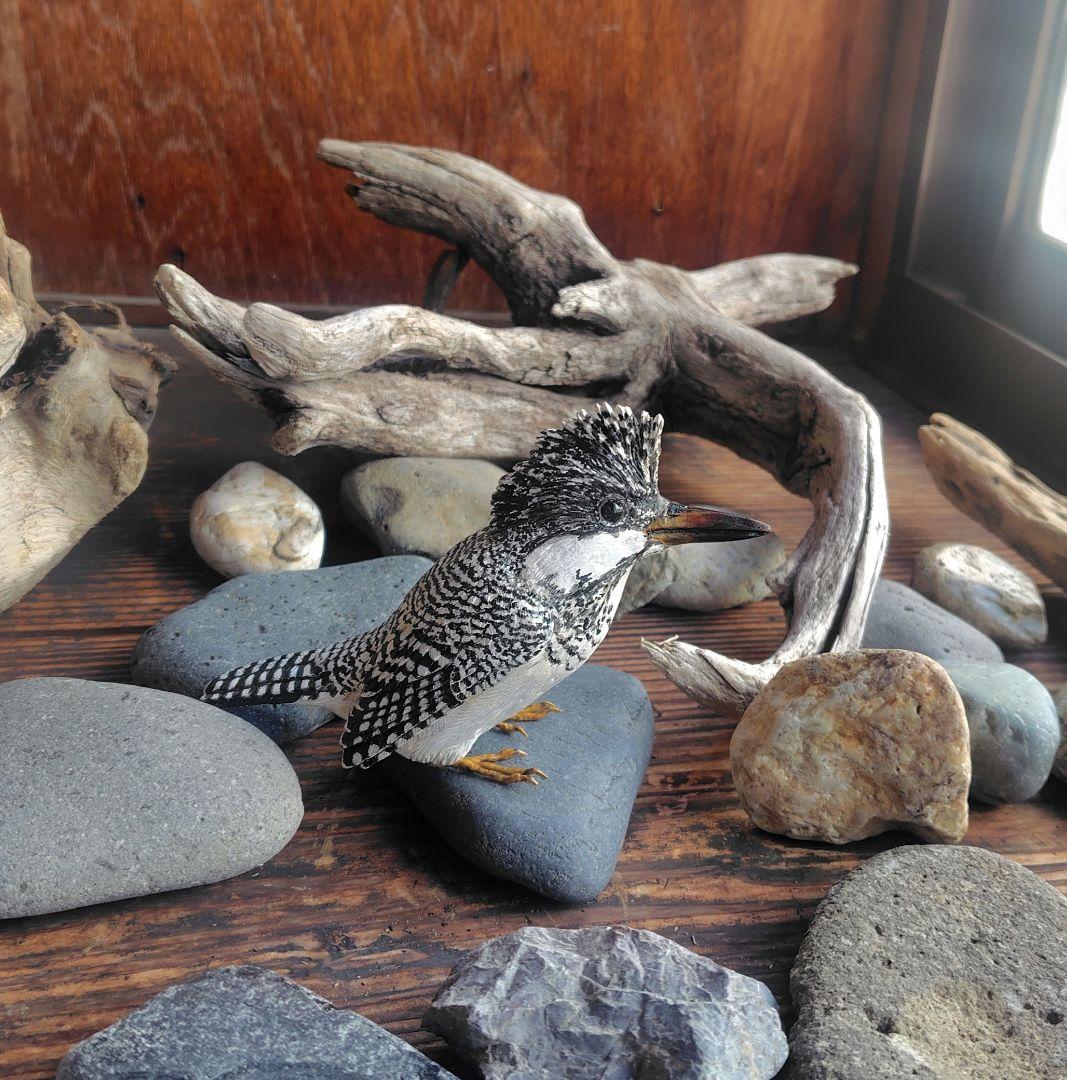 小さなバードカービング ヤマセミ 野鳥 木彫り 置物 - メルカリ