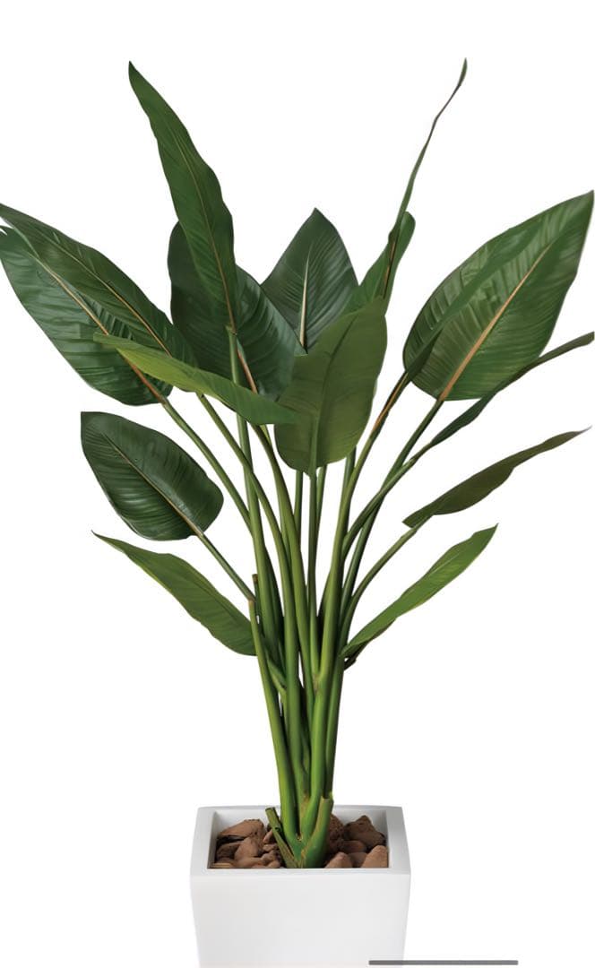 光触媒　人工観葉植物　ウォールグリーン　フェイクグリーン　ストレチアW1.3m