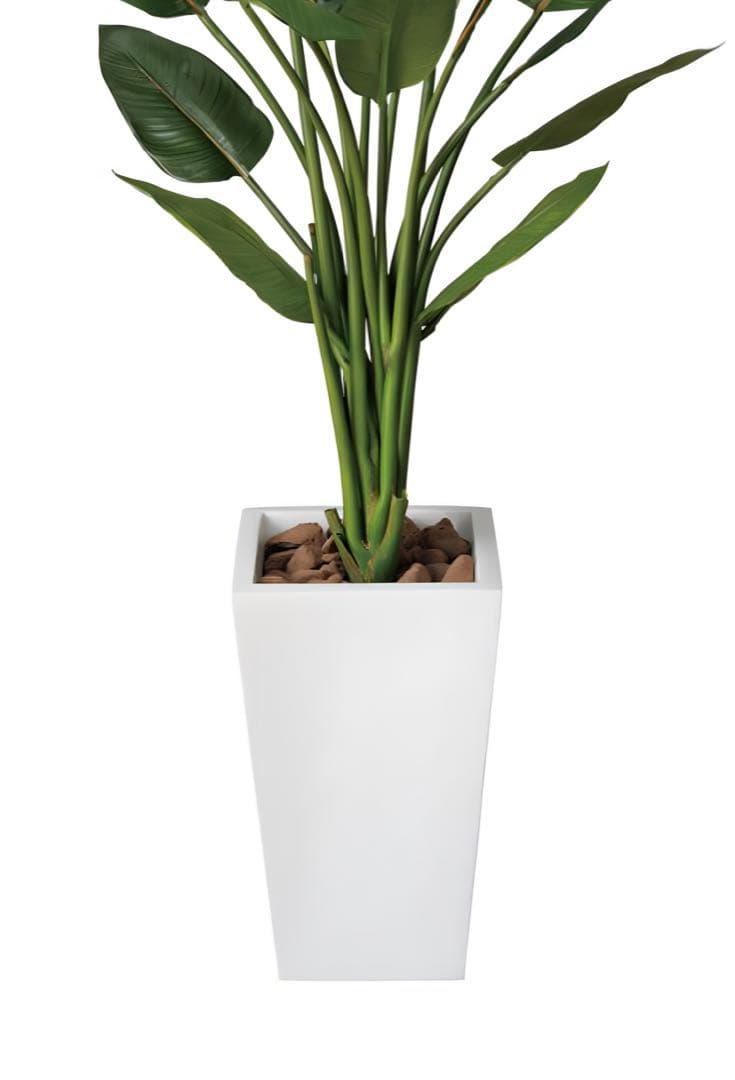 光触媒　人工観葉植物　ウォールグリーン　フェイクグリーン　ストレチアW1.3m