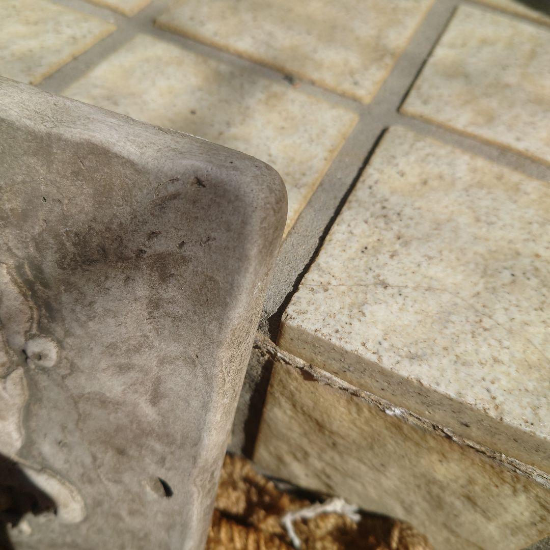 ワンダーデコール　イヤープレート　2025