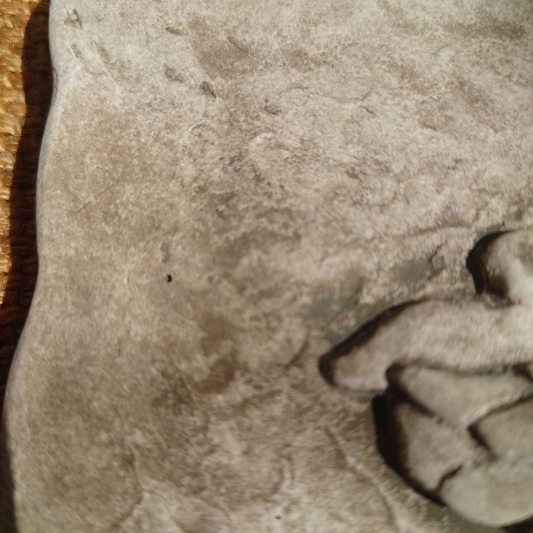 ワンダーデコール　イヤープレート　2025