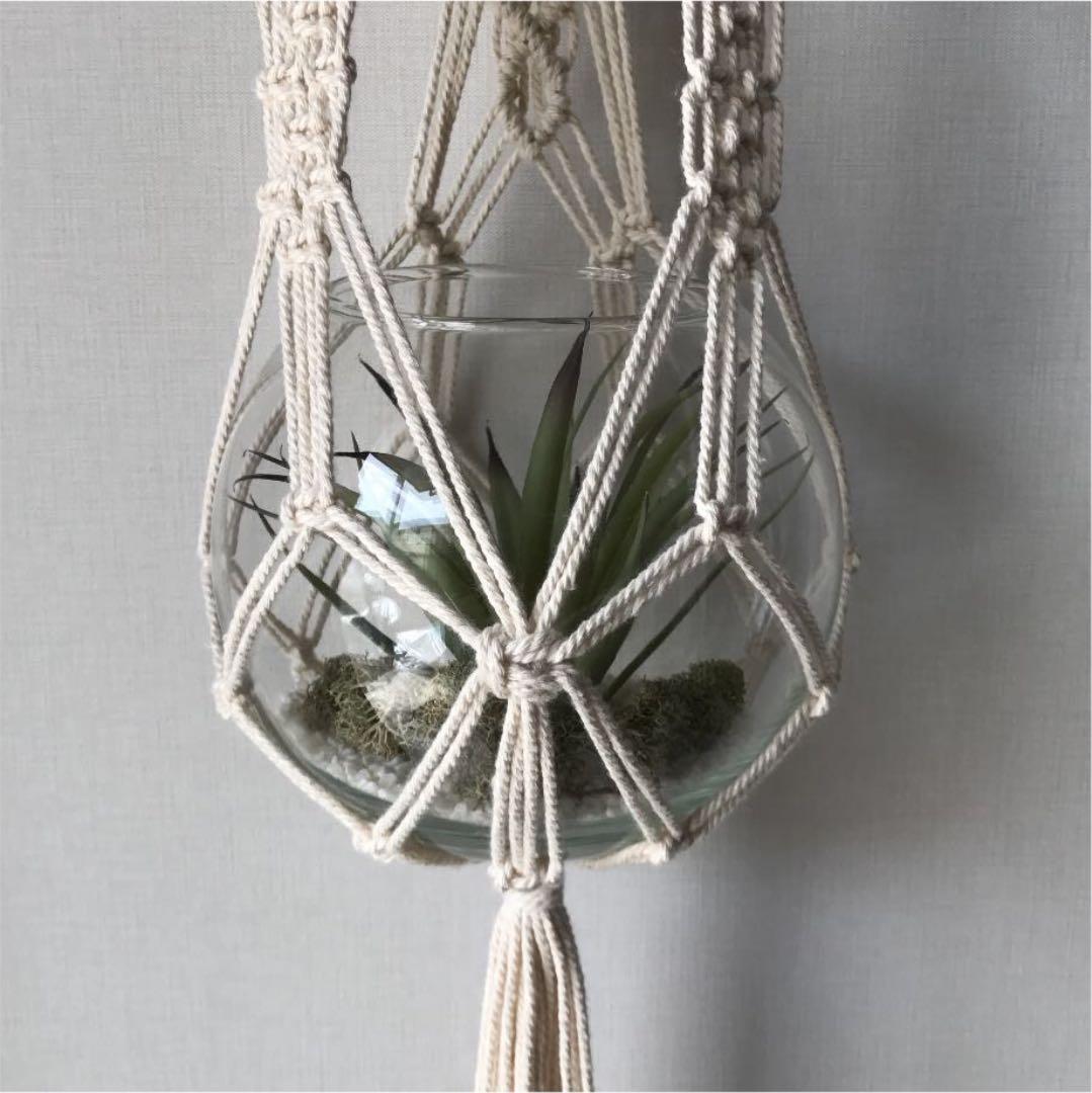 マクラメ 流木 プラントハンガー