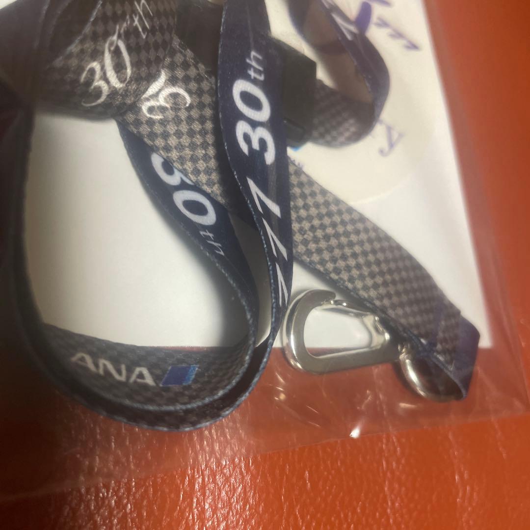 「ANA ボーイング777型機 30周年記念フライト 記念品」