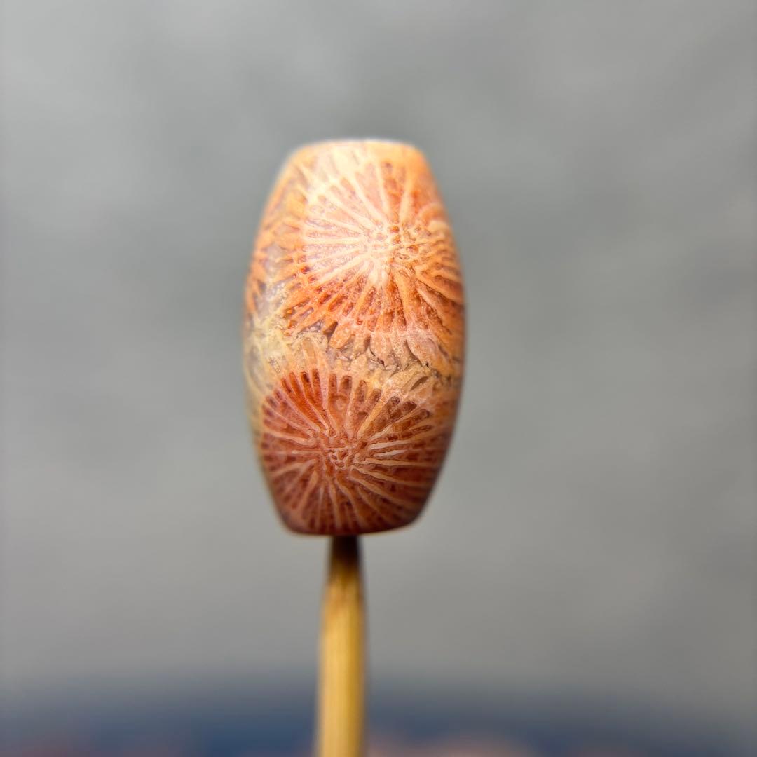 ユッキーフォッシルコーラル　天珠　1-304