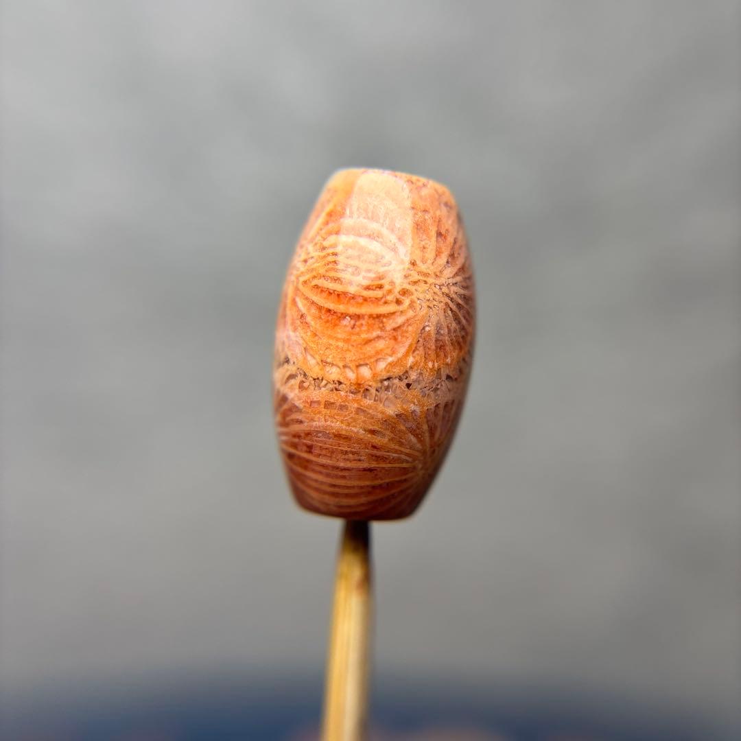 ユッキーフォッシルコーラル　天珠　1-304