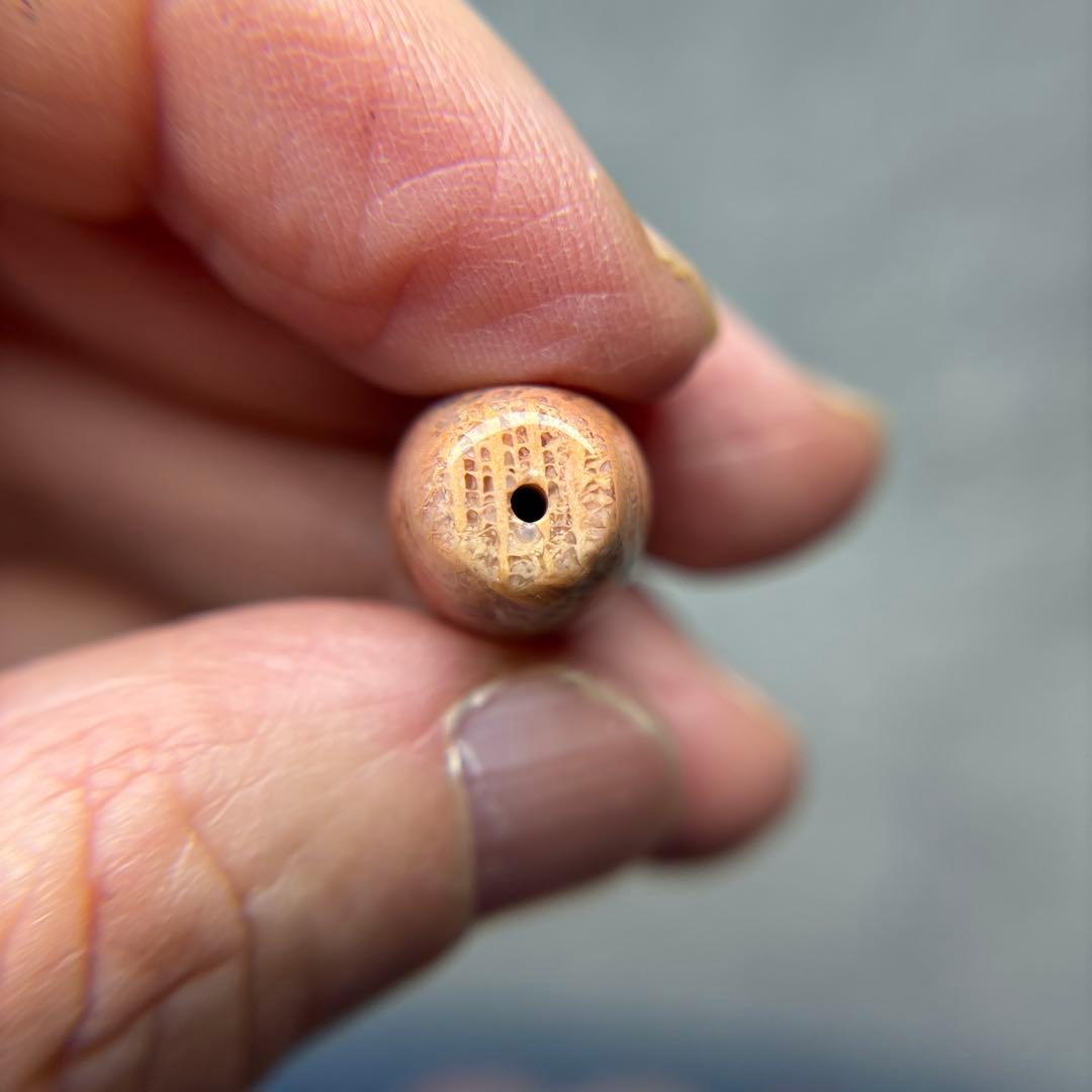 ユッキーフォッシルコーラル　天珠　1-304