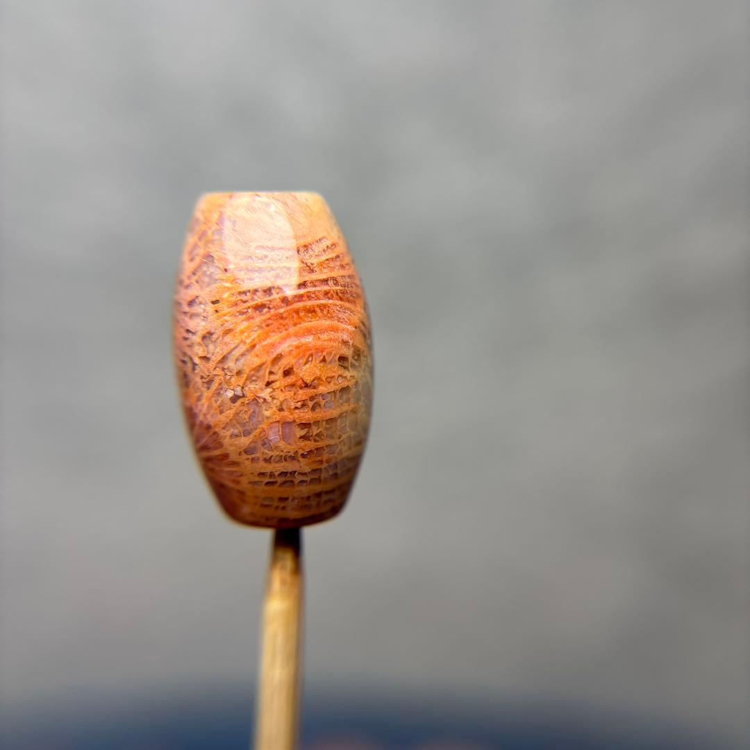 ユッキーフォッシルコーラル　天珠　1-304