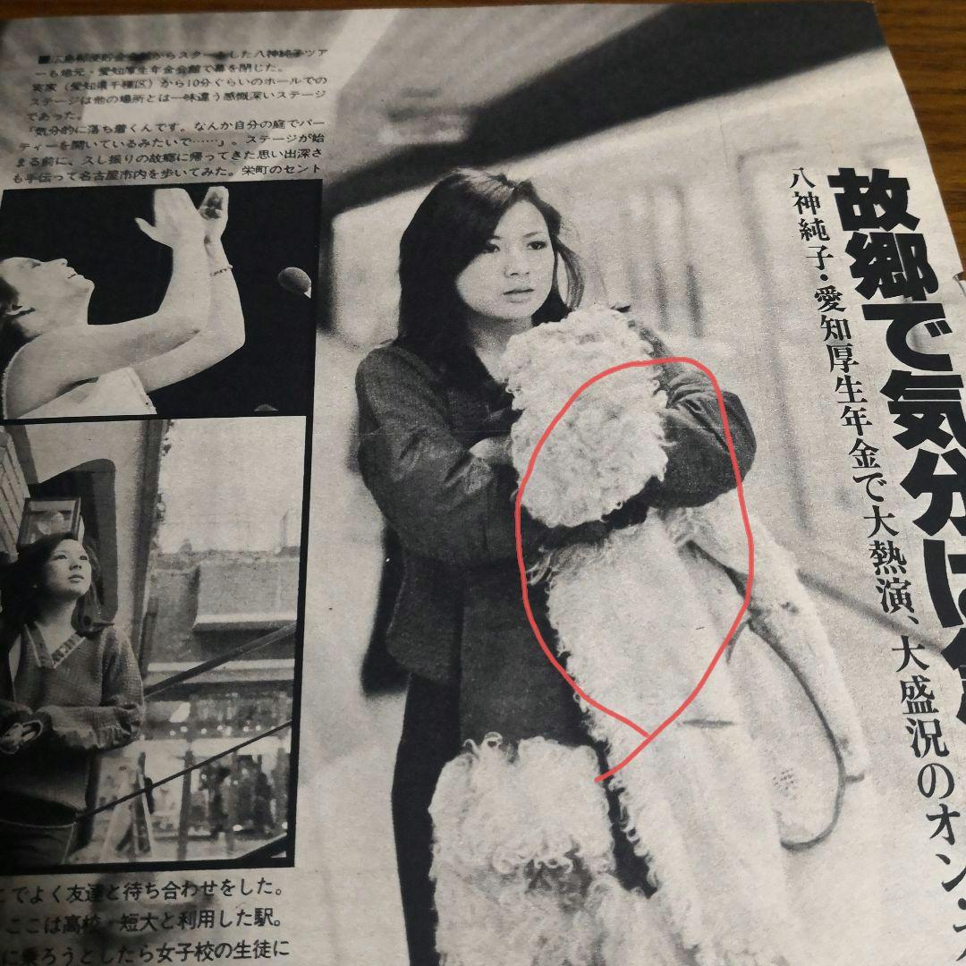 八神純子 切り抜き - メルカリ