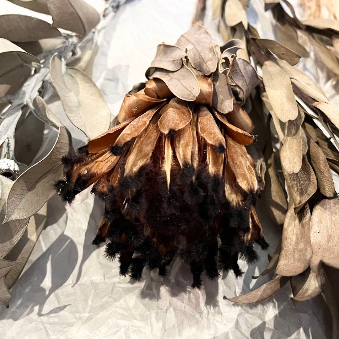 【訳あり】　アンティークドライフラワーセット⑤ おまけ付き