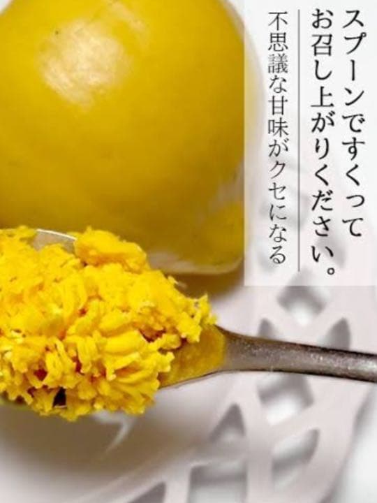 沖縄 宮古島産のカニステル 今年4月に種を植え6月に発芽/超元気いっぱい/2本