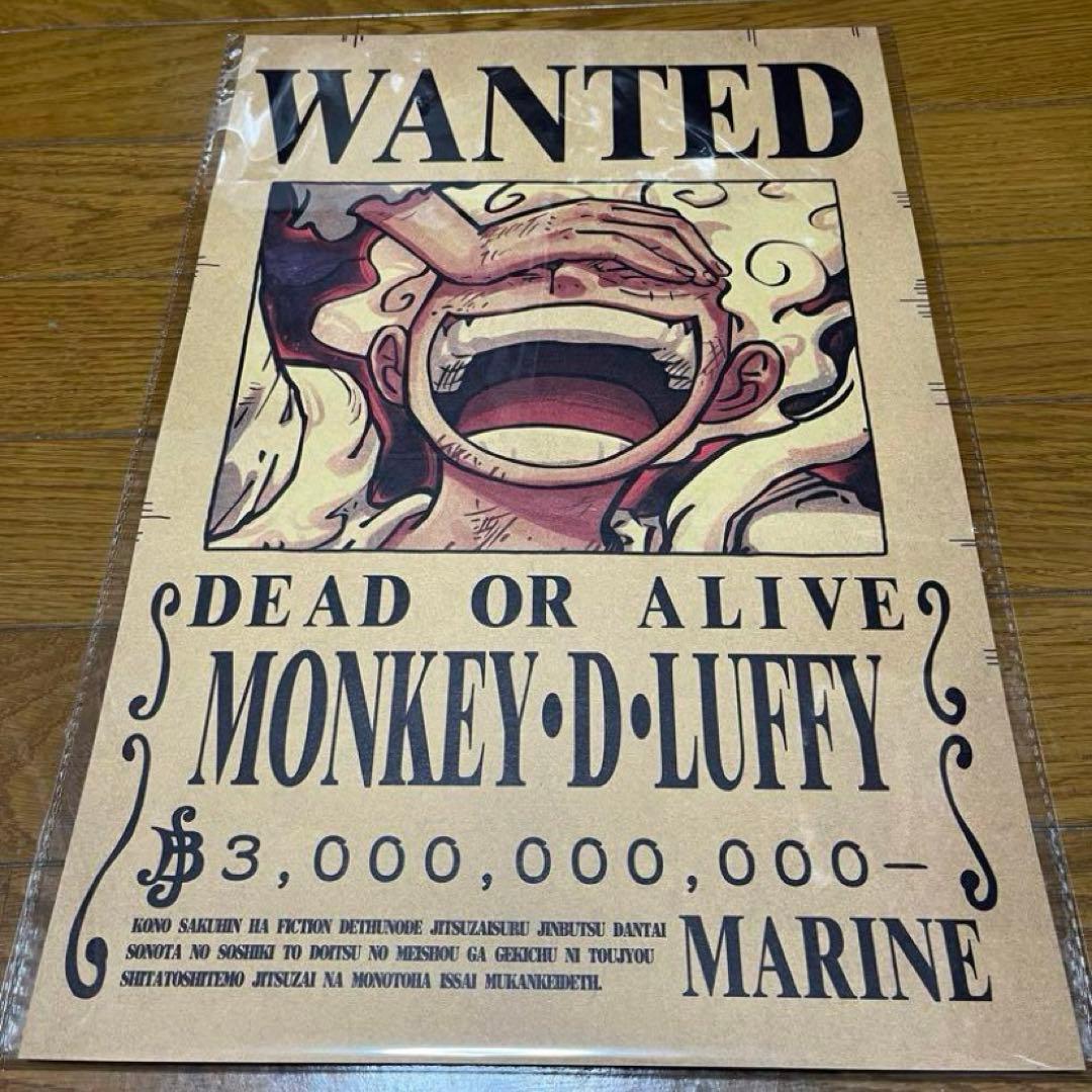 10枚セット ワンピース 手配書 ニカ 懸賞金 ポスター 麦わらの一味手配