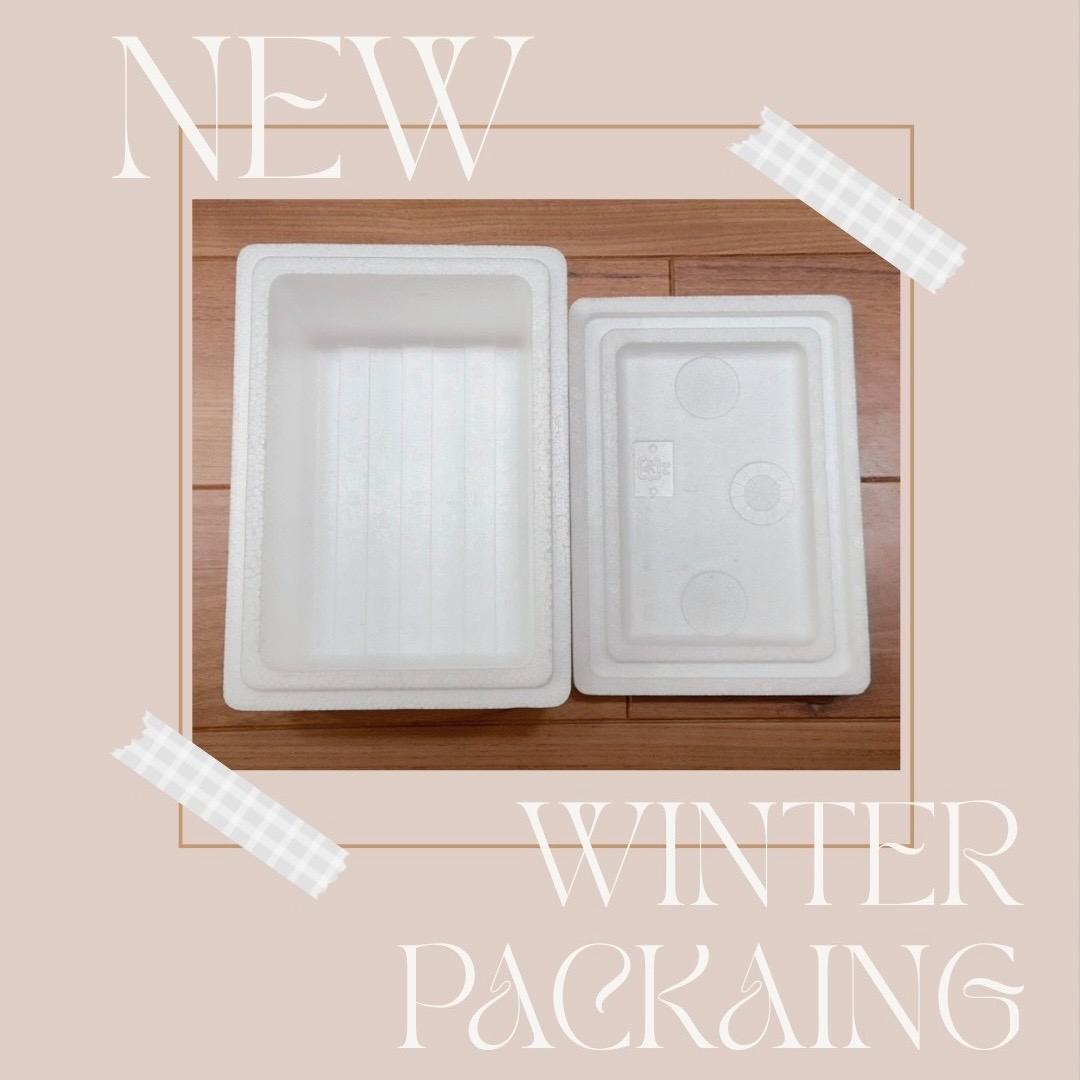 ビカクシダ P.Willinckii Tiara spore 05