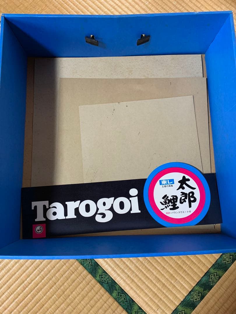 東レ　太郎鯉　　当時物　サイズ5