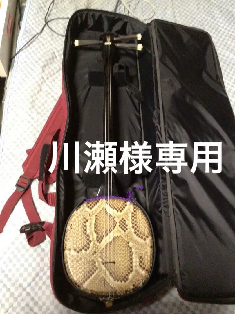 三線本体 蛇皮 強化張りケース付き