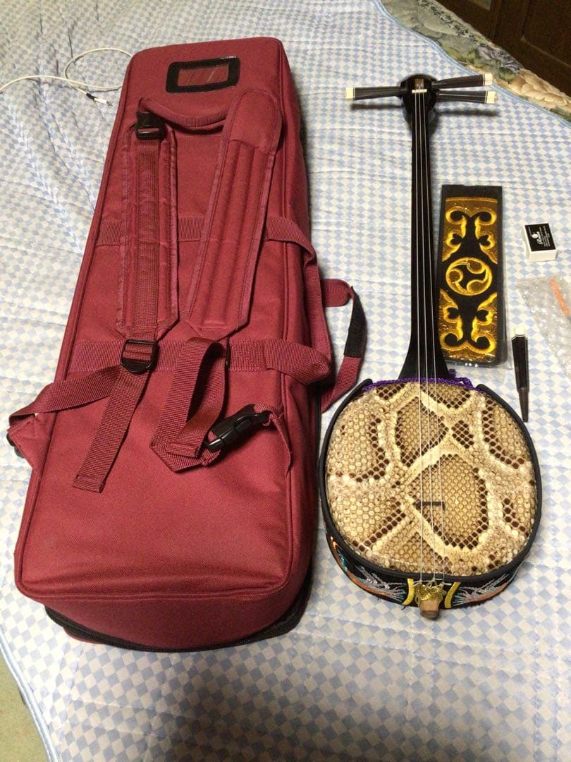 三線本体 蛇皮 強化張りケース付き