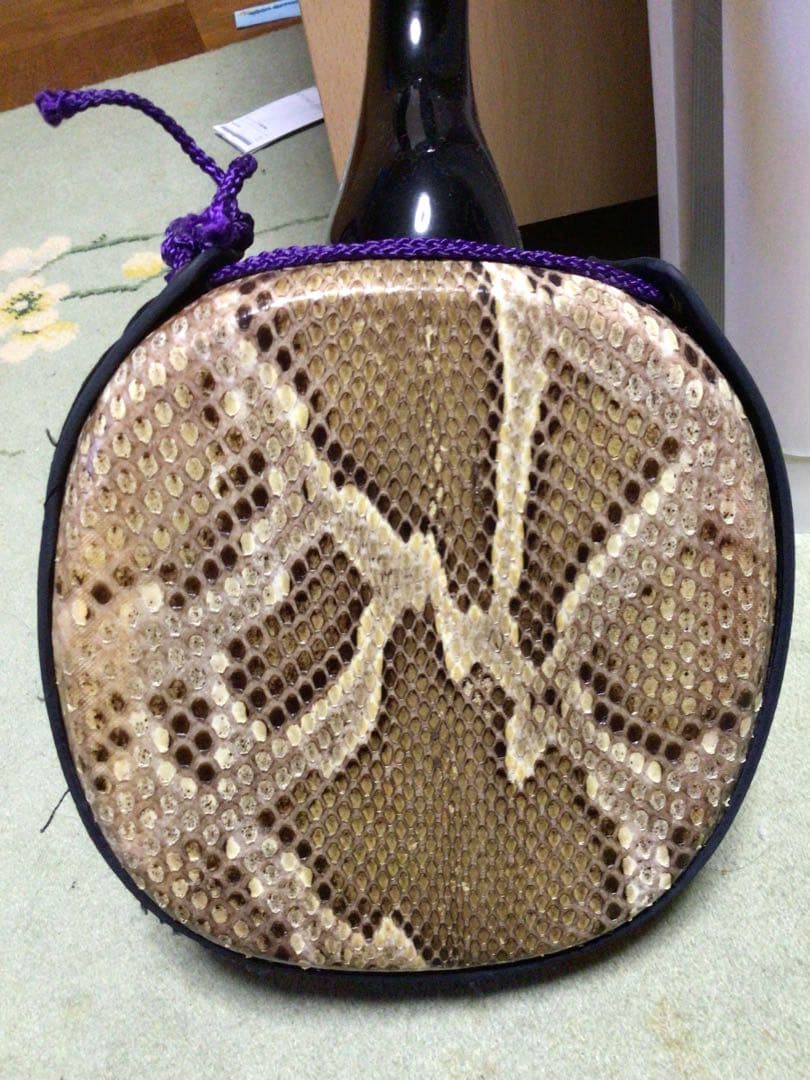 三線本体 蛇皮 強化張りケース付き