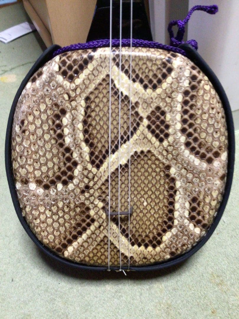 三線本体 蛇皮 強化張りケース付き