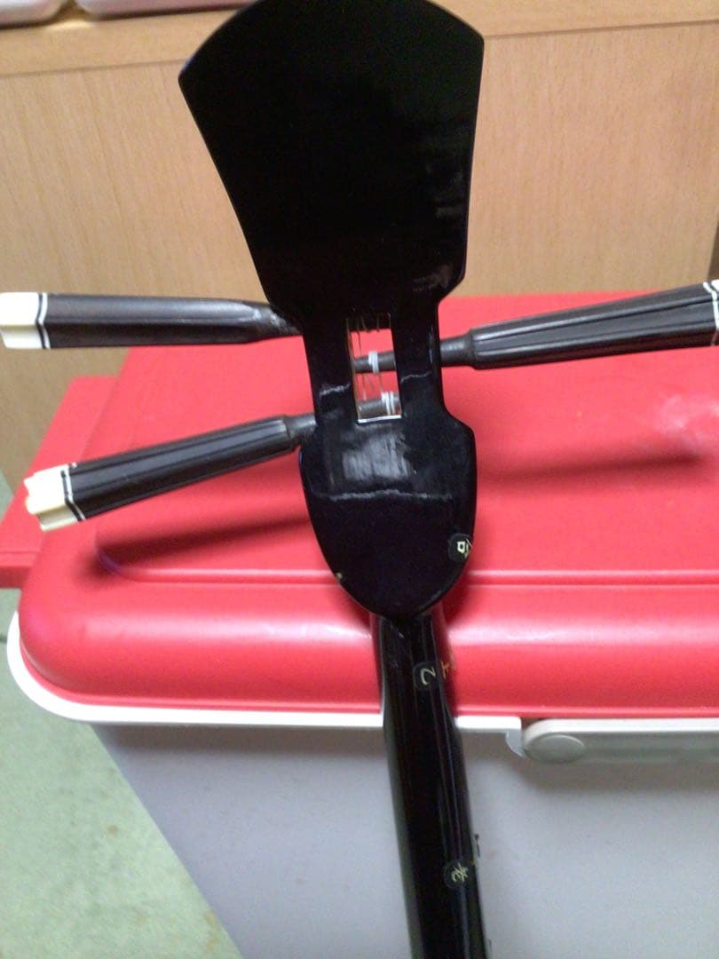 三線本体 蛇皮 強化張りケース付き