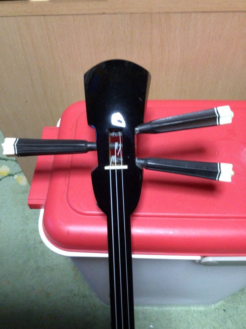 三線本体 蛇皮 強化張りケース付き