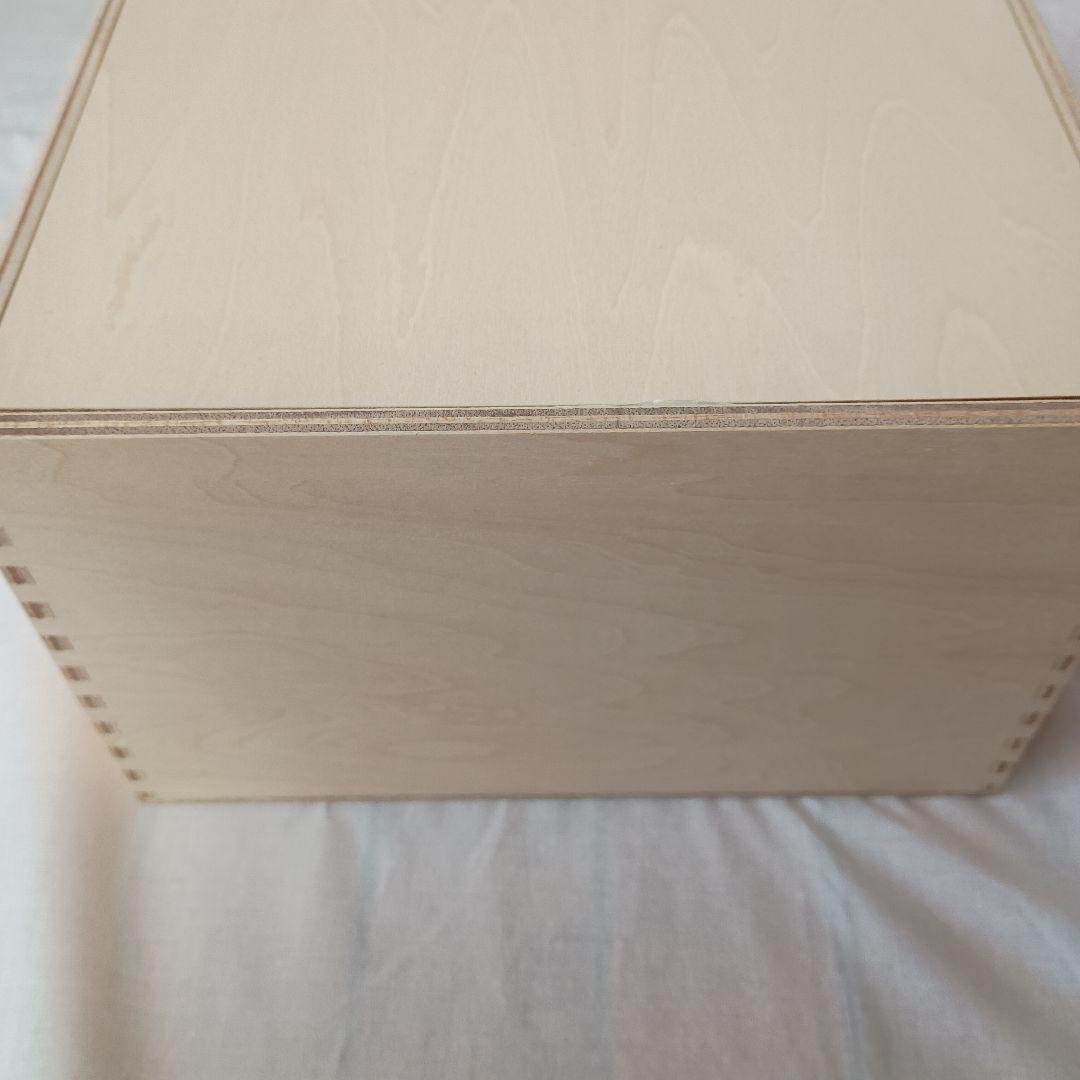 新品  アートフローラボウル 190mm scope