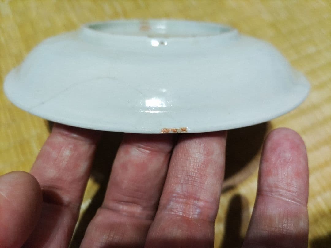 藍九谷 花唐草 皿（15.5㎝） 生掛け釉 初期伊万里 江戸前期 - メルカリ