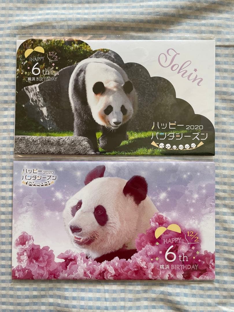 アドベンチャーワールド パンダ マスクケース4枚セット 桜浜 桃浜